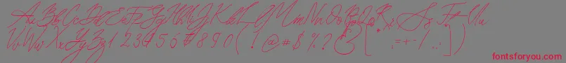 フォントSeoul Script – 赤い文字の灰色の背景