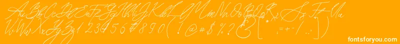 Seoul Script Font – White Fonts on Orange Background
