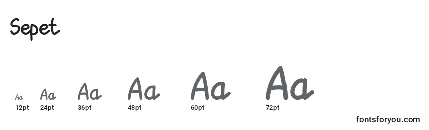 Размеры шрифта Sepet (140006)