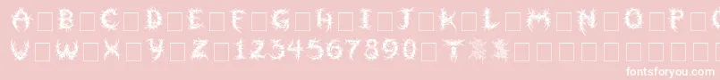 Sepulcra Font – White Fonts on Pink Background