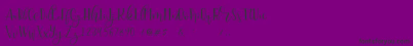 Serangkai DEMO Font – Black Fonts on Purple Background