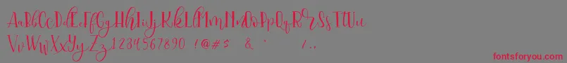 Serangkai DEMO Font – Red Fonts on Gray Background