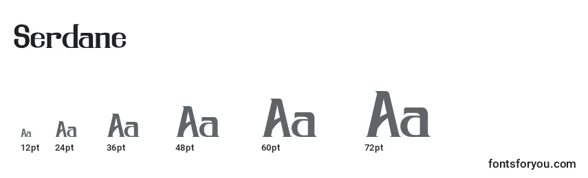 Размеры шрифта Serdane