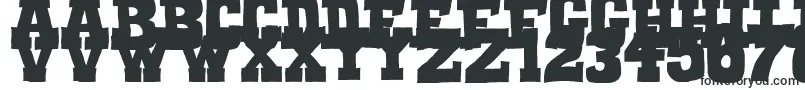 Шрифт Serif of Nottingham – шрифты для Google Chrome
