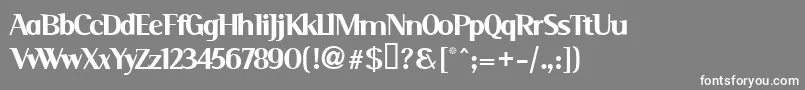 フォントSERIM    – 灰色の背景に白い文字