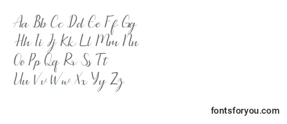 Обзор шрифта Seullanga script