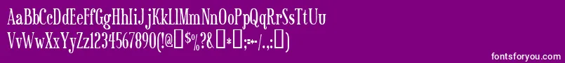 sexsmith Font – White Fonts on Purple Background