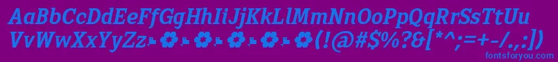 Sextan Bold Italic FFP-fontti – siniset fontit violetilla taustalla