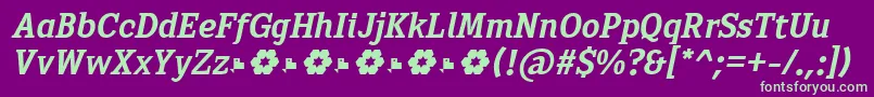 Fonte Sextan Bold Italic FFP – fontes verdes em um fundo violeta