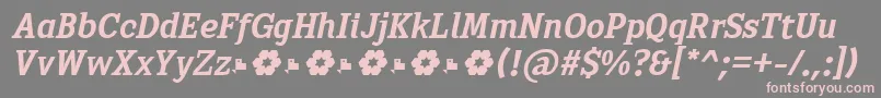 フォントSextan Bold Italic FFP – 灰色の背景にピンクのフォント