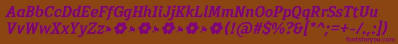 Czcionka Sextan Bold Italic FFP – fioletowe czcionki na brązowym tle