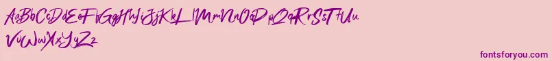 Sexy Beachy Font – Purple Fonts on Pink Background