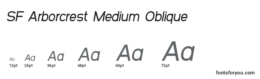 Размеры шрифта SF Arborcrest Medium Oblique