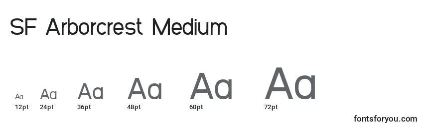 SF Arborcrest Medium Font Sizes