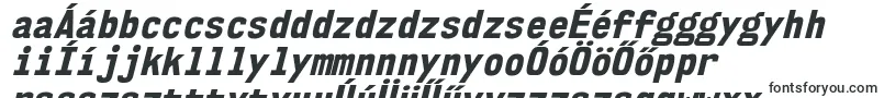 Шрифт Nk57MonospaceScEbIt – венгерские шрифты