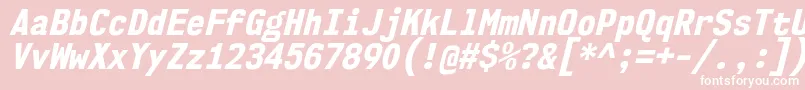 Nk57MonospaceScEbIt Font – White Fonts on Pink Background