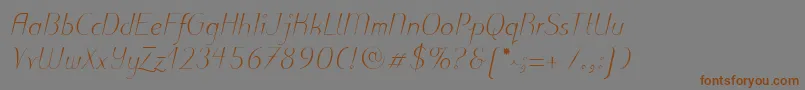 PuritasLtLightItalic Font – Brown Fonts on Gray Background
