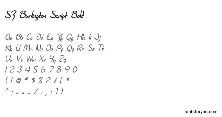 Schriftart SF Burlington Script Bold – Alphabet, Zahlen, spezielle Symbole