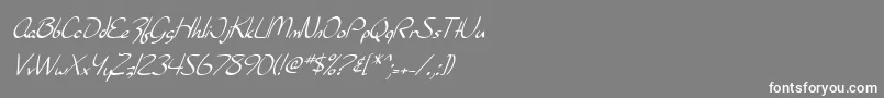 フォントSF Burlington Script Italic – 灰色の背景に白い文字