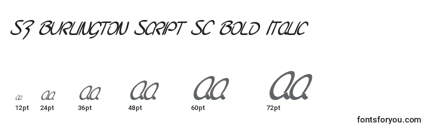 Tamanhos de fonte SF Burlington Script SC Bold Italic