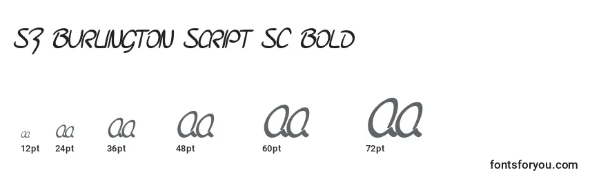 Tamanhos de fonte SF Burlington Script SC Bold