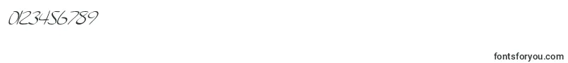 En savoir plus sur la police SF Burlington Script SC Italic Police SF Burlington Script SC Italic – polices pour les chiffres et les nombres