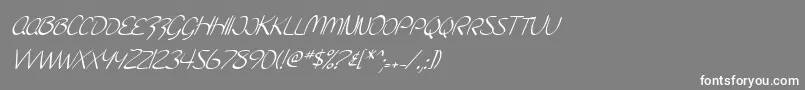 フォントSF Burlington Script SC Italic – 灰色の背景に白い文字