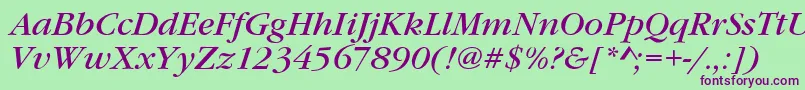GaramondItcTBookItalic Font – Purple Fonts on Green Background
