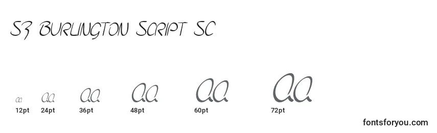 SF Burlington Script SC Font Sizes