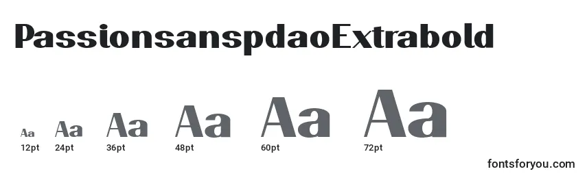 PassionsanspdaoExtrabold Font Sizes
