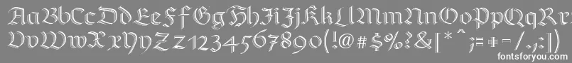 RichmondzierschriftLtRegular-Schriftart – Weiße Schriften auf grauem Hintergrund
