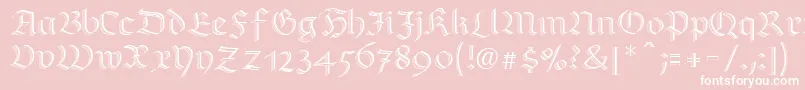 RichmondzierschriftLtRegular Font – White Fonts on Pink Background