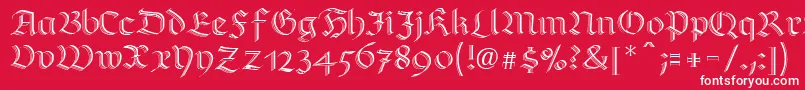 RichmondzierschriftLtRegular Font – White Fonts on Red Background