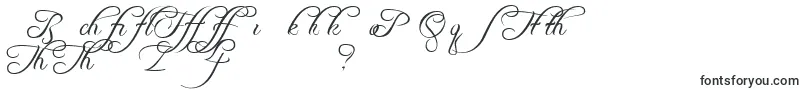Шрифт Freebsca – шрифты для письма