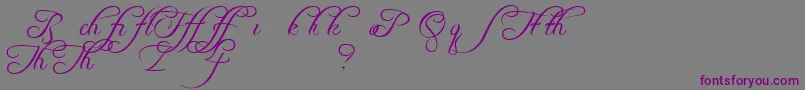 Freebsca-Schriftart – Violette Schriften auf grauem Hintergrund