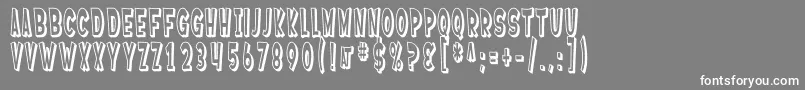 SF Ferretopia Shaded Font – White Fonts on Gray Background