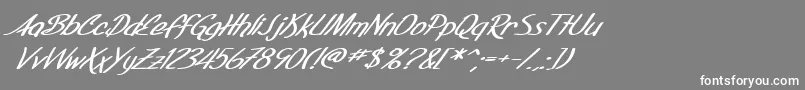 Czcionka SF Foxboro Script Extended Bold Italic – białe czcionki na szarym tle