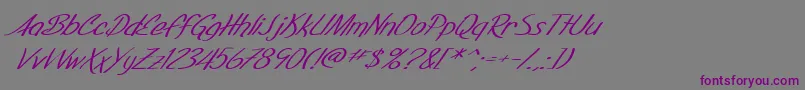 SF Foxboro Script Extended Italic-Schriftart – Violette Schriften auf grauem Hintergrund