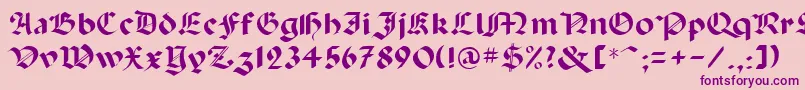 Abbey Font – Purple Fonts on Pink Background