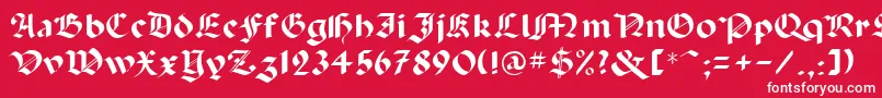 フォントAbbey – 赤い背景に白い文字