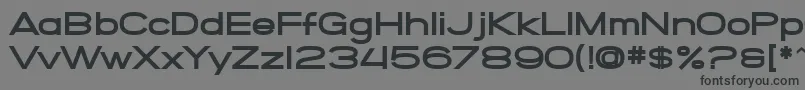 SF Grandezza Heavy Font – Black Fonts on Gray Background