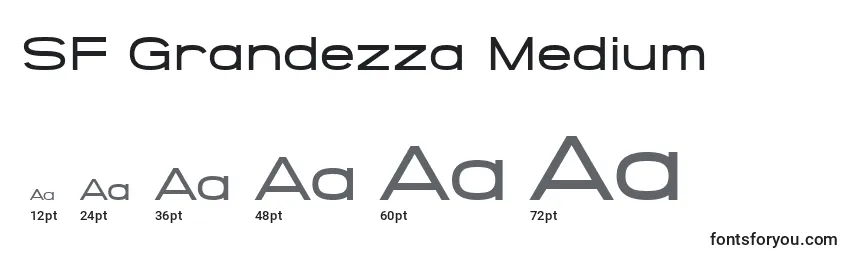 SF Grandezza Medium Font Sizes