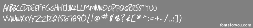 フォントSF Grunge Sans SC – 灰色の背景に白い文字