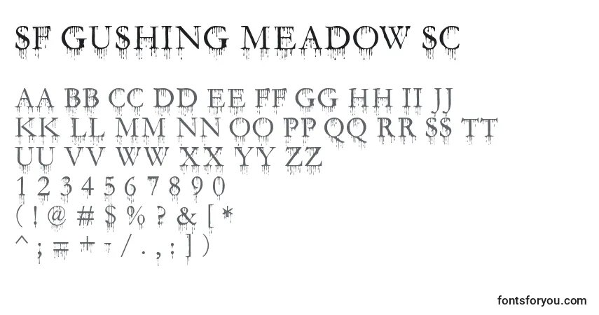 Шрифт SF Gushing Meadow SC – алфавит, цифры, специальные символы