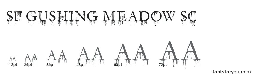 Größen der Schriftart SF Gushing Meadow SC