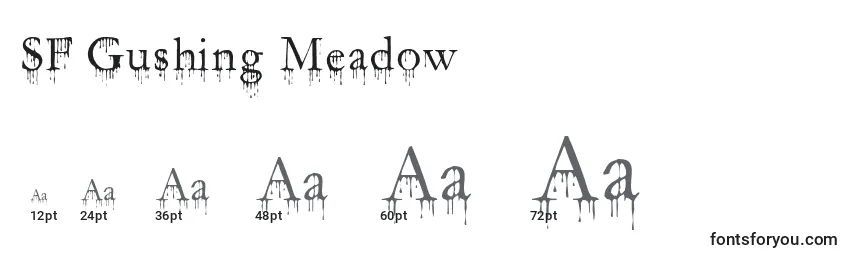 Größen der Schriftart SF Gushing Meadow