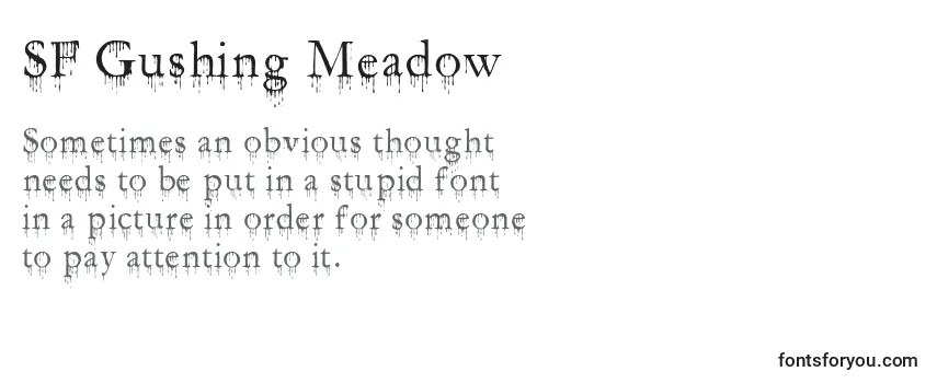 Überblick über die Schriftart SF Gushing Meadow