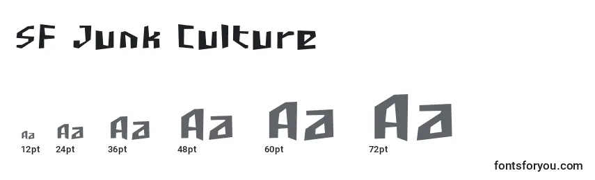 Размеры шрифта SF Junk Culture