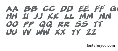 Review of the SF Minced Meat Bold Oblique Font