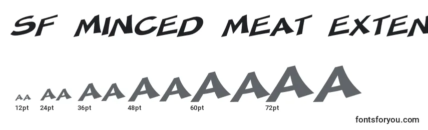 Größen der Schriftart SF Minced Meat Extended Oblique